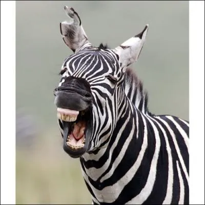 It's a series that lasts!