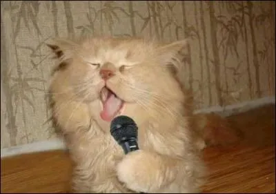 When Margot undoes her blouse ...