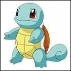 What is the evolution of Carapuce?