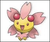 What's so special about Ceriflor?