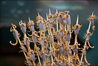 And Clovis Cornillac plays it!