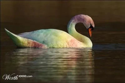 Tchaikovsky turned it into a ballet!