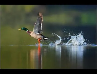 Don't take God's children for ...