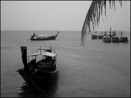 What is the name of first bangla cinema ( sound added ) ?