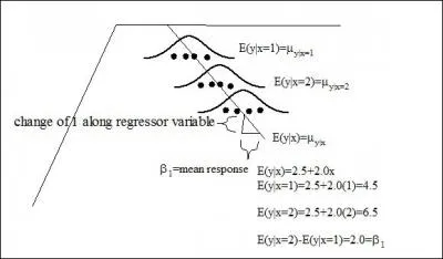The picture below shows what happens when we fit a model. Is this true or false?