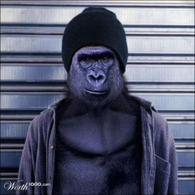 He's a special services gorilla, a bit special!