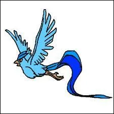 What's the name of this Pokemon?