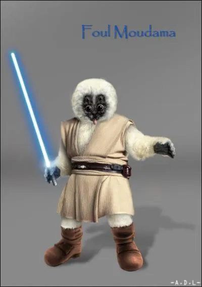 What species is Foul Moudama?