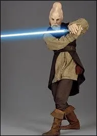 What species is Ki-Adi-Mundi?