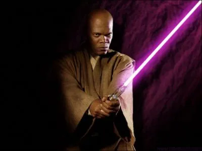 What species is Mace Windu?
