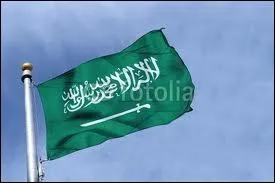 On a green background, above a sword, you can see written in white letters: ''There is no God but God; Muhammad is his prophet. Where will you see this flag ?