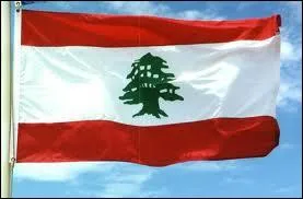 Which tree is in the center of the national flag in Beirut?