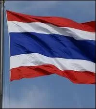 In this city, the flag is NOT black, yellow and red