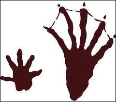 This footprint tells you that they live