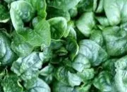 Quiz 12 légumes à reconnaître