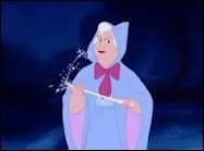 What is the name of the fairy godmother who appears when Cinderella is crying because she can't go to the king's invitation?