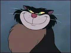 What is the name of the bad cat?