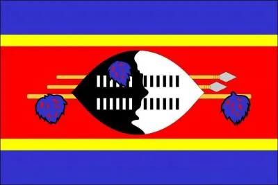 Which country has this flag?