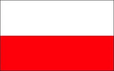 Which country has this flag?