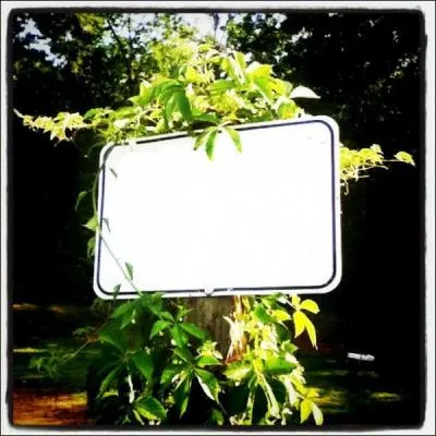 Refresh your aim and get in some target practice at this camp hot-spot! photo cred @ Kim Jefferson