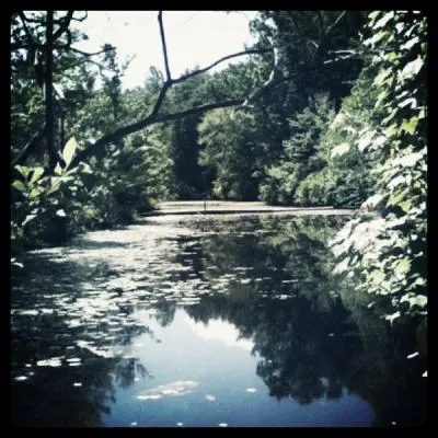 Take a trip across the bridge and try your best to avoid the murky depths of which location? photo cred @ Kim Jefferson