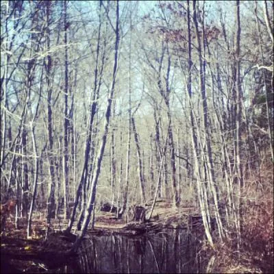 Where did DJ Slim Kim capture this image?