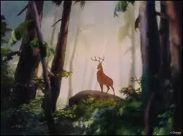 It's one of the saddest cartoons ever.