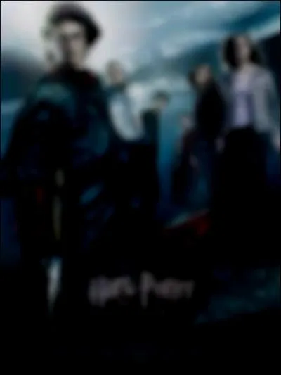 What can you see on the cover of the Harry Potter and the Goblet of Fire DVD?
