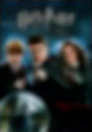 What can you see on the cover of the Harry Potter and the Order of the Phoenix DVD?