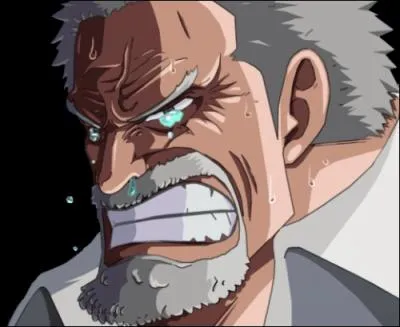 After the Battle of Marineford, what rank did Monkey D. Garp hold in the Navy?