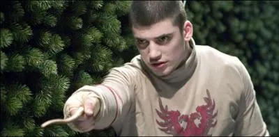 Who is Krum pointing his wand at? Watch out for the trap!