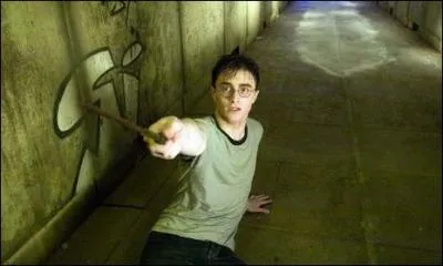 Who does Harry point his wand at?