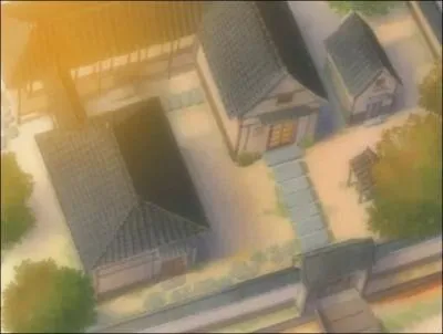 In which village was Roronoa Zorro raised?