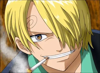 Where does Sanji, the famous cook, come from?