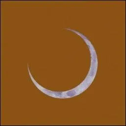 Which group does this logo belong to?