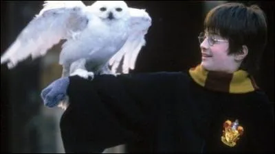 Which film does this picture belong to?