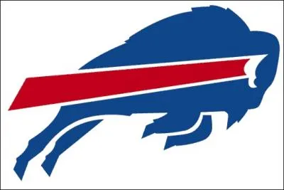 Which team does this logo correspond to?