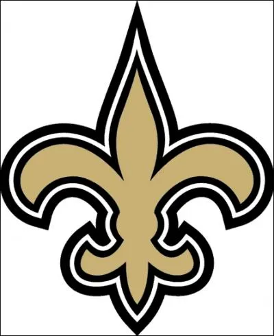 Which team does this logo correspond to?