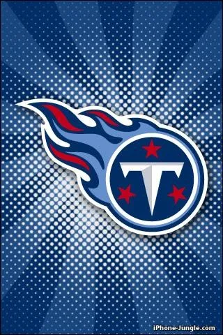 Which team does this logo correspond to?