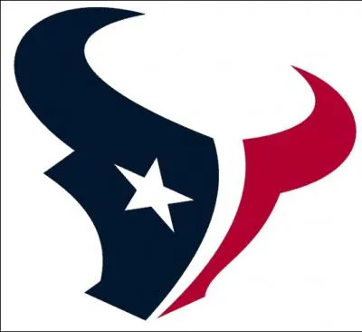 Which team does this logo correspond to?