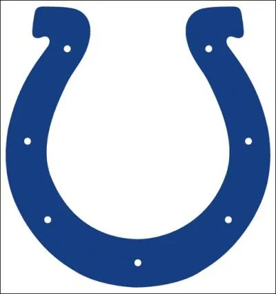 Which team does this logo correspond to?