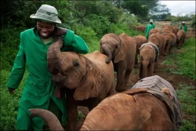 The Ivory Coast (which bears its name well), it is very misleading!