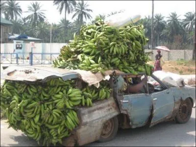 In Africa it's hot, no problem, in Gambia, we have the banana!