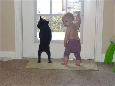 Trapped in his armchair after an accident, Jeff suspects murder in the apartment across the street!