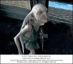 What's the name of this house elf ?