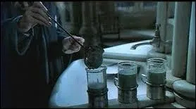 How long does it take to brew Polyjuice potion ?