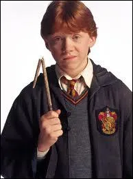 How many brothers does Ron Weasley have?