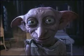 What is the name of the house elf who visits Harry in his room? (HP2)