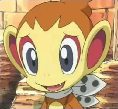 Ouisticram is a type...