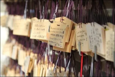 Where are these are typically found?